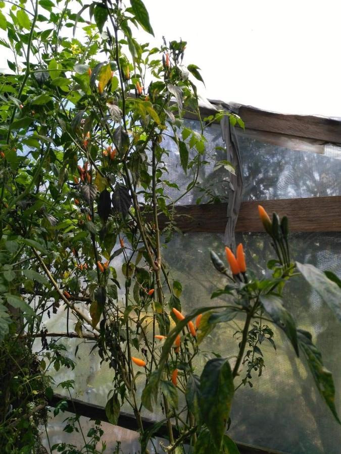 Banga-An Bnb And Coffee House Sagada Exterior photo